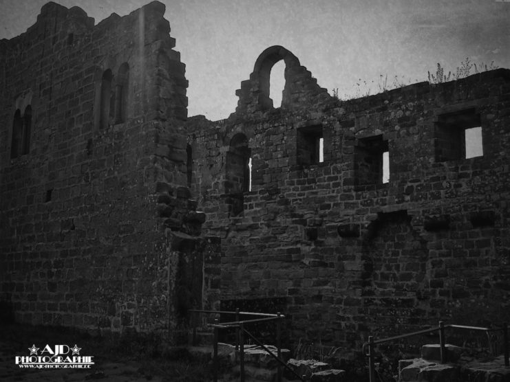 Burg Hohenecken 