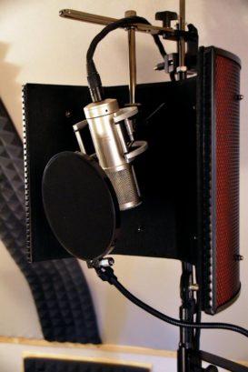 Studio: thevoicefinder.de