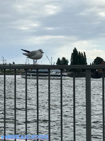 Urlaub in Hamburg, August 2018