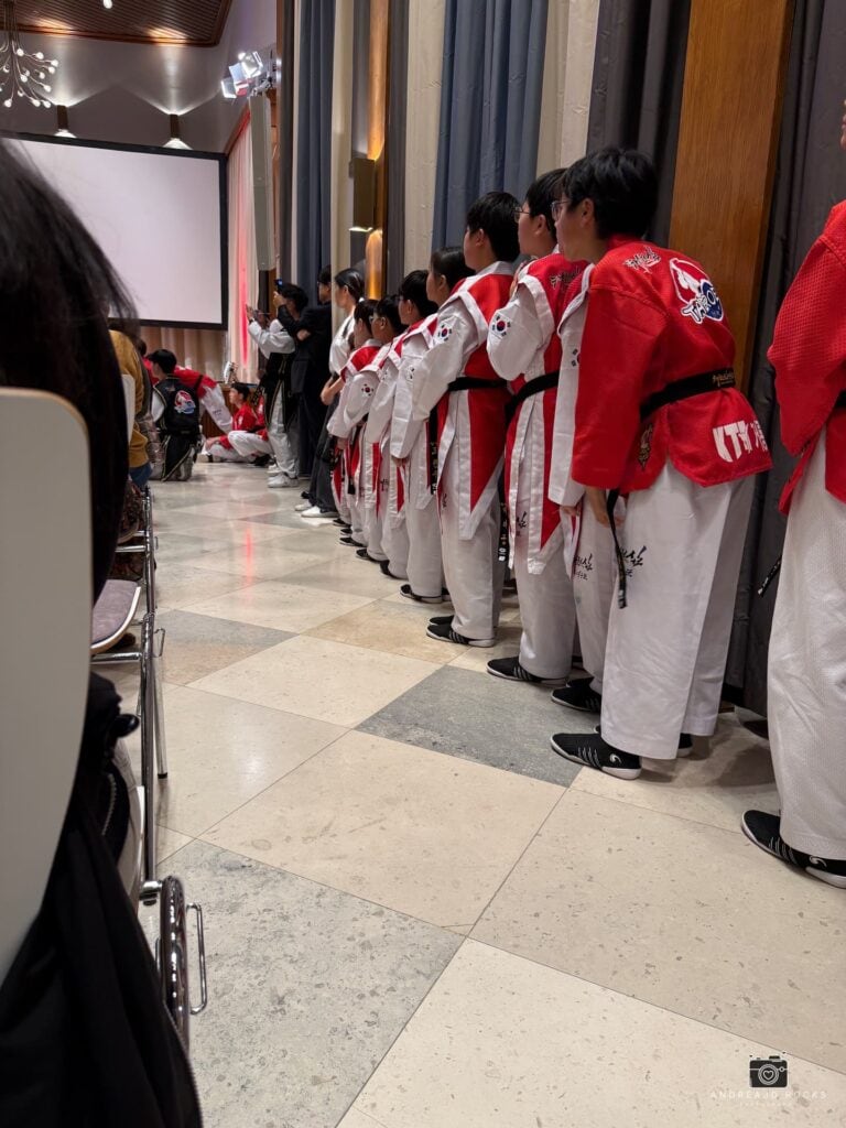 Taekwondo-Mannschaft „Taeroes“ Taekwondo Heroes